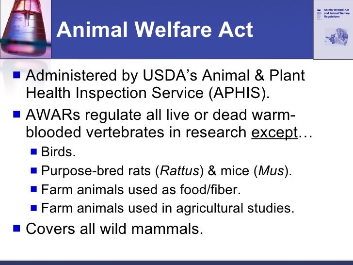 animal welfare act of 1966 pdf